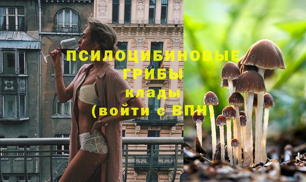 тгк Аркадак